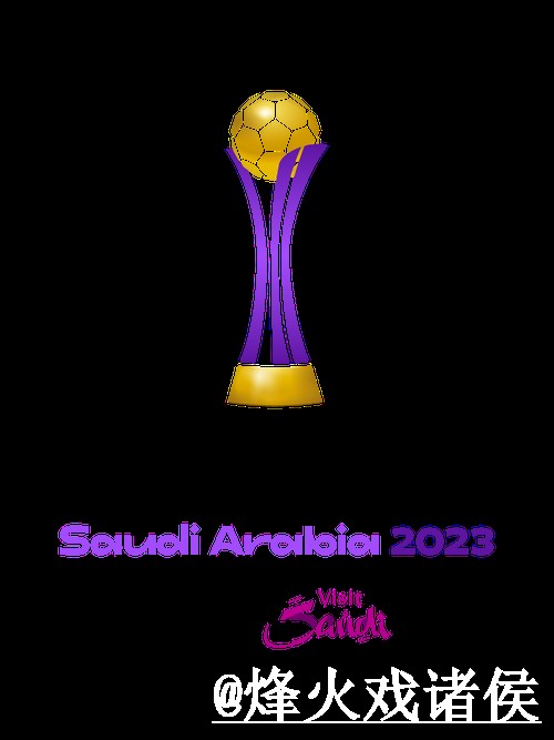 2026世界杯买球地址对比，网页版入口和访问异常哪个更方便